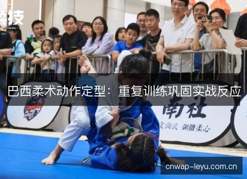 巴西柔术动作定型：重复训练巩固实战反应